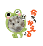 天使ん爛漫ハムスターきいちゃん3〜笑顔〜（個別スタンプ：4）