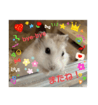 天使ん爛漫ハムスターきいちゃん3〜笑顔〜（個別スタンプ：5）