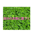 目を醒まして(スピリチュアル)6（個別スタンプ：6）