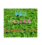 目を醒まして(スピリチュアル)6（個別スタンプ：25）