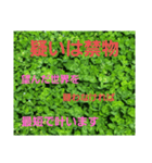 目を醒まして(スピリチュアル)6（個別スタンプ：29）