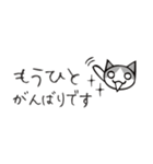 頭にネコ33・省スペース組合せで会話(猫)（個別スタンプ：25）