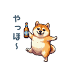 アルコール柴犬【酒クズ・おもしろい】（個別スタンプ：6）