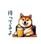アルコール柴犬【酒クズ・おもしろい】（個別スタンプ：16）