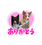 スカ☆アクスタンプ（個別スタンプ：4）