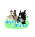 スカ☆アクスタンプ（個別スタンプ：5）