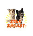 スカ☆アクスタンプ（個別スタンプ：6）