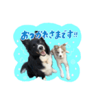 スカ☆アクスタンプ（個別スタンプ：8）