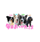 スカ☆アクスタンプ（個別スタンプ：9）