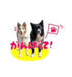 スカ☆アクスタンプ（個別スタンプ：10）