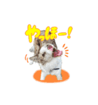 スカ☆アクスタンプ（個別スタンプ：11）