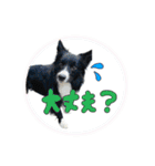 スカ☆アクスタンプ（個別スタンプ：12）