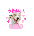スカ☆アクスタンプ（個別スタンプ：13）