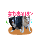 スカ☆アクスタンプ（個別スタンプ：18）