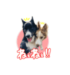 スカ☆アクスタンプ（個別スタンプ：19）