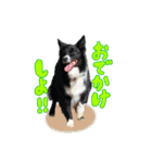 スカ☆アクスタンプ（個別スタンプ：20）
