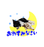 スカ☆アクスタンプ（個別スタンプ：24）