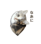 かわいいももちゃ（個別スタンプ：4）