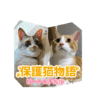 保護猫物語-ピート＆チルル- Vol.1（個別スタンプ：1）