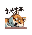 shibainu_202401（個別スタンプ：1）