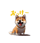 shibainu_202401（個別スタンプ：4）