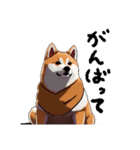 shibainu_202401（個別スタンプ：7）