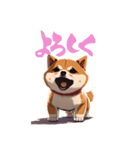 shibainu_202401（個別スタンプ：8）