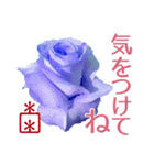 遊印付き！青い薔薇 カスタムⅡ（個別スタンプ：22）