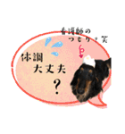 美人犬こむぎ 6  身近なスタンプ（個別スタンプ：18）