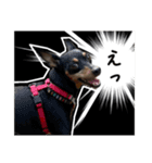 みはるとモモ（個別スタンプ：5）
