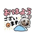 ミニチュアダックスとワイヤーダックスno.3（個別スタンプ：3）