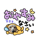 ミニチュアダックスとワイヤーダックスno.3（個別スタンプ：4）