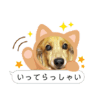 ミニチュアダックスとワイヤーダックスno.3（個別スタンプ：31）