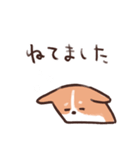 のんびりゆるコーギー（個別スタンプ：31）