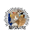ぶっさん君2（個別スタンプ：2）