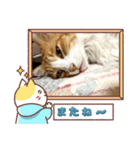 ぶっさん君2（個別スタンプ：7）