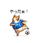 サッカーを応援するふとっちょ柴犬（個別スタンプ：11）