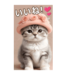 スコティッシュ猫の ピンク帽あいづちBIG（個別スタンプ：1）
