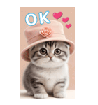 スコティッシュ猫の ピンク帽あいづちBIG（個別スタンプ：2）