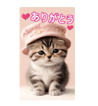 スコティッシュ猫の ピンク帽あいづちBIG（個別スタンプ：4）