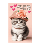 スコティッシュ猫の ピンク帽あいづちBIG（個別スタンプ：5）