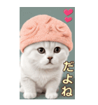 スコティッシュ猫の ピンク帽あいづちBIG（個別スタンプ：6）