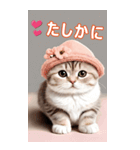 スコティッシュ猫の ピンク帽あいづちBIG（個別スタンプ：9）