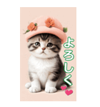 スコティッシュ猫の ピンク帽あいづちBIG（個別スタンプ：14）