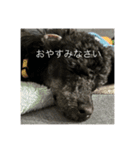 ネジスタンプ（犬）（個別スタンプ：4）