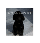 ネジスタンプ（犬）（個別スタンプ：8）