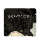 ネジスタンプ（犬）（個別スタンプ：9）