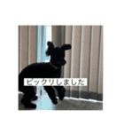 ネジスタンプ（犬）（個別スタンプ：10）