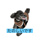 ネジスタンプ（犬）（個別スタンプ：12）