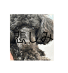 ネジスタンプ（犬）（個別スタンプ：15）